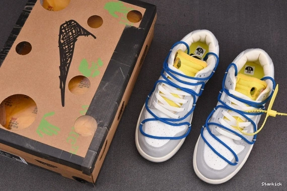  Dunk O-W  Low 10 DM1602-112 Lot Nike 0126